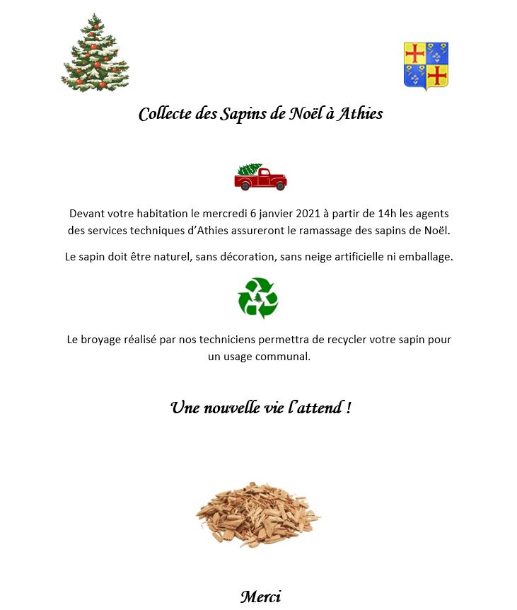 collecte des sapins de noel